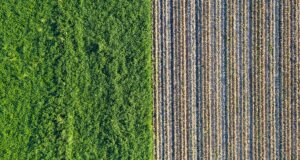 image of the solution Sustainable Biomass