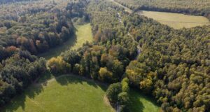 EU Emissions Trading System (EU ETS)