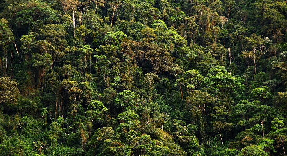 image of the post ENGIE and Arkema strengthen their partnership with a new biomethane supply agreement