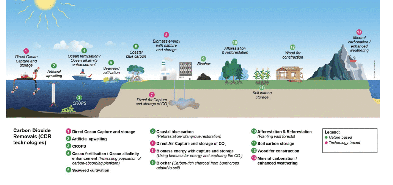 image of the post Which Carbon Removal Solutions Truly Deliver?