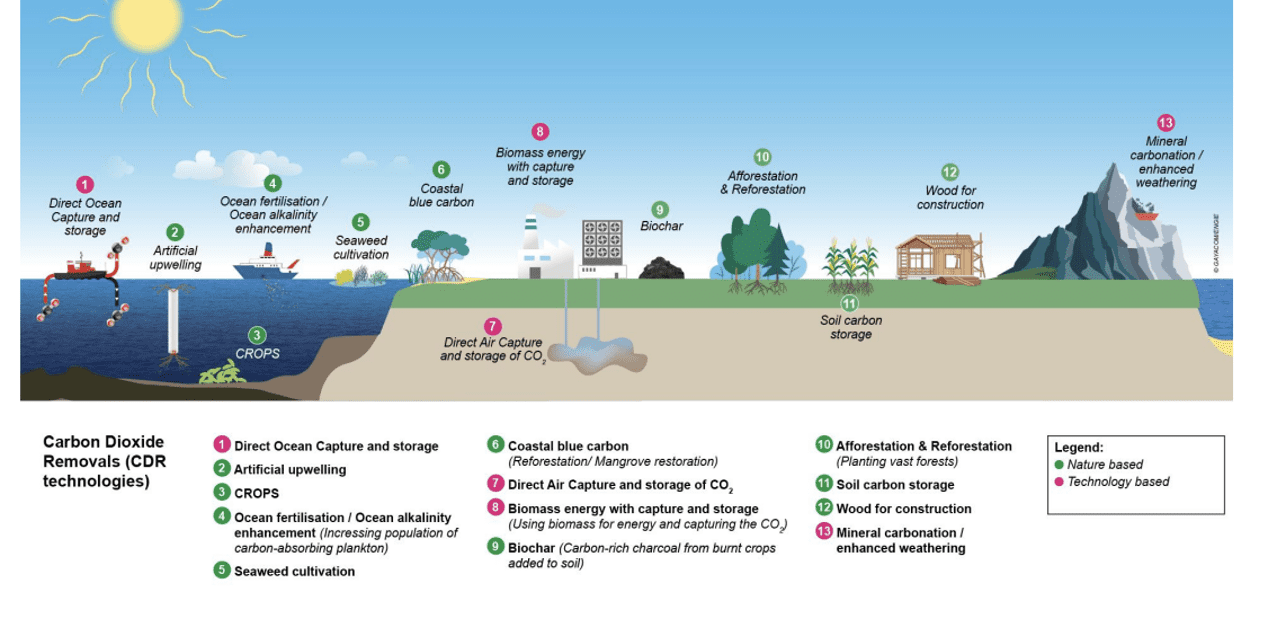 image of the post Which Carbon Removal Solutions Truly Deliver?