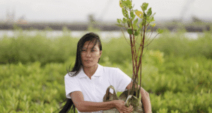 image of the solution Carbon Credits