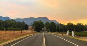 image of the solution Journeys of Growth: Marine’s path at ENGIE