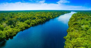 image of the solution COP30, Article 6, and the New Reality for Corporate Carbon Buyers