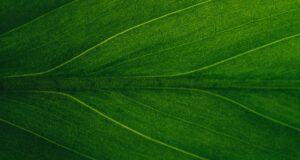 image of the solution GHG Protocol reform: A new chapter for Carbon Accounting