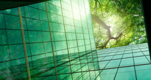 image of the solution Quality is the New Scarcity: Adjusting Your Carbon Credit Strategy to a Maturing Market