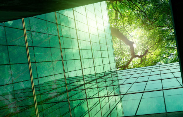 image of the post Quality is the New Scarcity: Adjusting Your Carbon Credit Strategy to a Maturing Market